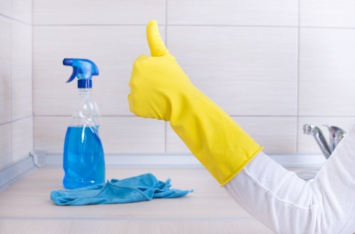 Eco-friendly stain removal and cleaning products