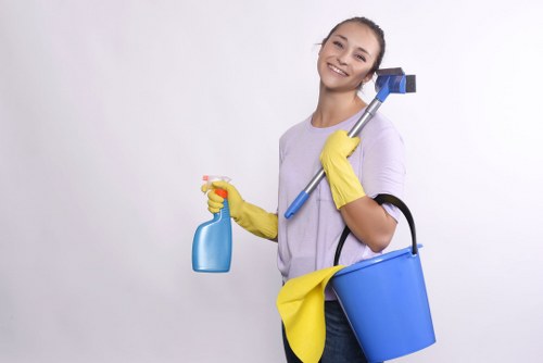 Documented UK carpet cleaning terms and conditions for customer agreement