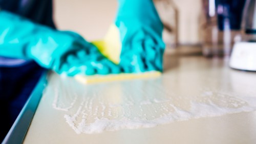Professional cleaning process for pet stains in Church End home